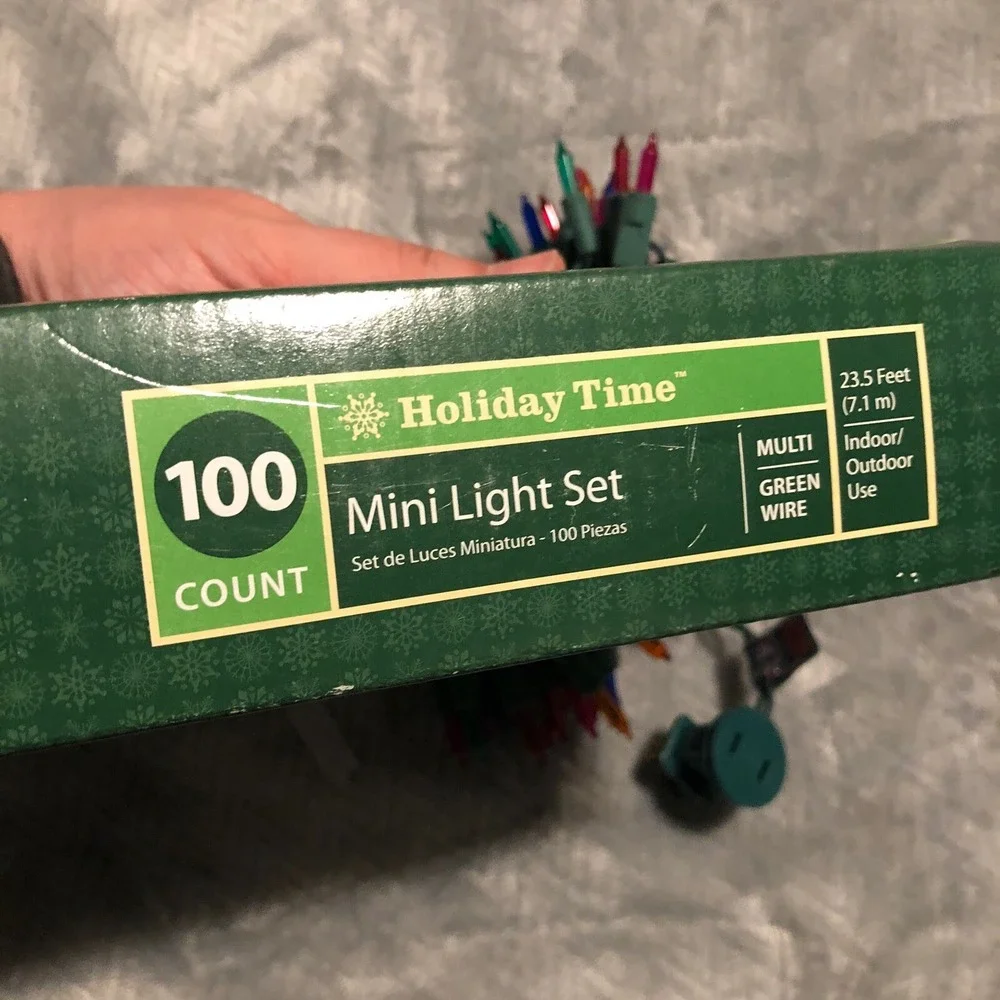 100-Count Multicolor Holiday Time Mini Christmas Lights Green Wire
